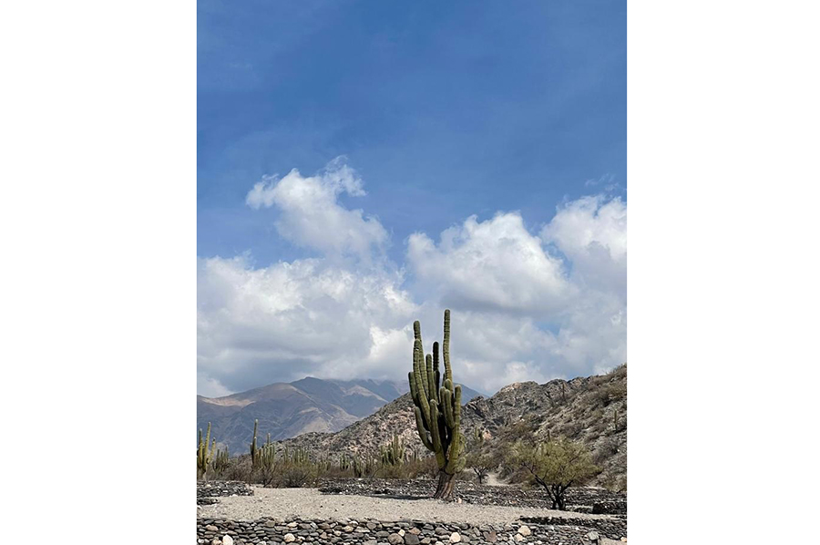 Viaje Educativo de 4º grado, Tafí del Valle, Amaicha y Cafayate Nivel Primario